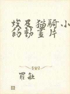 埃及猫骑小男孩的动画片