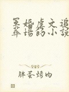 军婚虐文追妻火葬场的小说