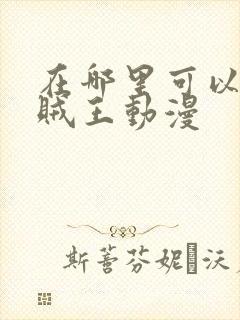 在哪里可以看海贼王动漫