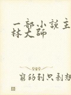 一部小说主角叫林大师