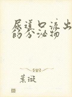 尿道口流出黄黄的分泌物封面