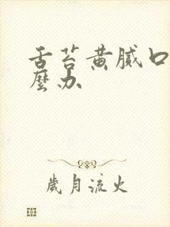 舌苔黄腻口苦怎么办