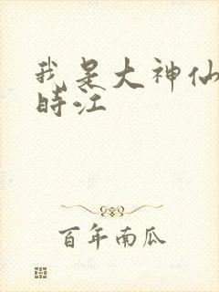 我是大神仙小说时江