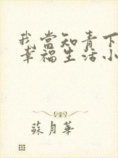 我当知青下乡的幸福生活小说封面