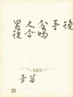 男人分手后还会复合吗封面