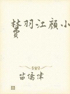 林羽江颜小说免费