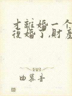 才离婚一个月又复婚了,财产怎么算