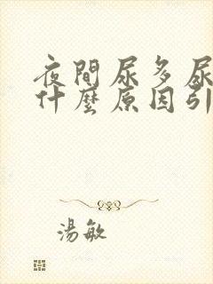 夜间尿多尿频是什么原因引起的