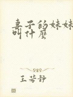 妻子的妹妹丈夫叫什么封面