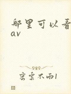 哪里可以看麻豆av