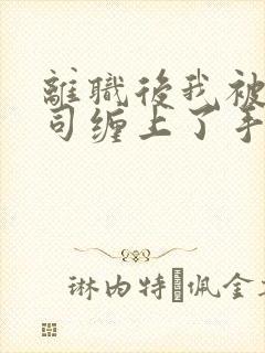 离职后我被前上司缠上了手机版