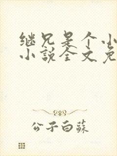 继兄是个小可怜小说全文免费阅读