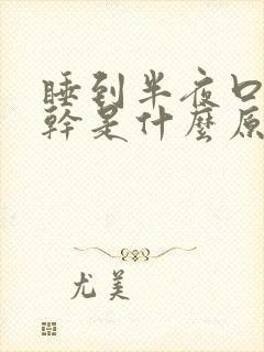 睡到半夜口苦口干是什么原因