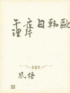 午夜日韩欧美伦理片封面