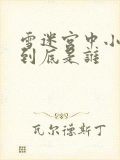 雪迷宫中小马哥到底是谁