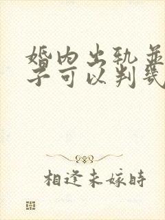 婚内出轨并有孩子可以判几年封面