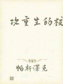 攻重生的校园文封面