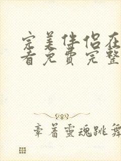 完美伴侣在线观看免费完整版高清