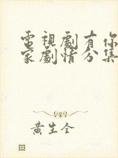 电视剧有你才有家剧情分集介绍