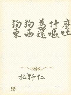 狗狗为什么不吃东西还呕吐没精神封面