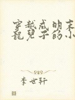 穿越成明末毛文龙儿子的小说封面