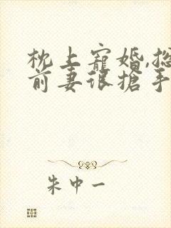 枕上宠婚,总裁前妻很抢手小说