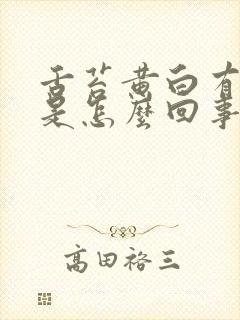 舌苔黄白有齿痕是怎么回事