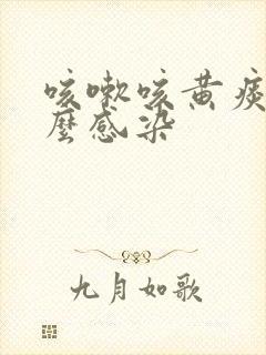 咳嗽咳黄痰是什么感染