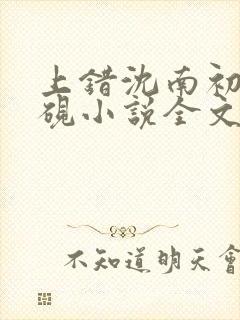 上错沈南初陆时砚小说全文免费阅读封面