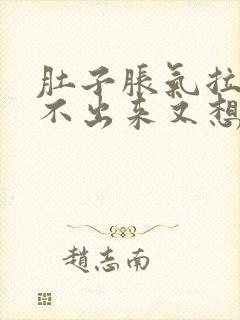 肚子胀气拉屎拉不出来又想吐