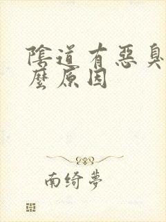 阴道有恶臭是什么原因