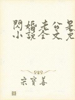 闪婚老公是豪门小说全文免费阅读无弹窗