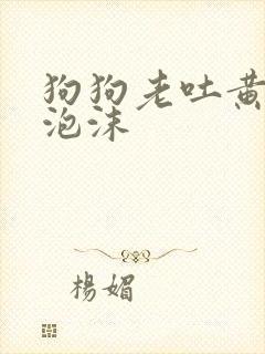 狗狗老吐黄水带泡沫