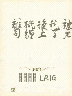 离职后我被前上司缠上了免费阅读封面