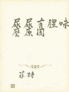 尿尿有腥味是什么原因