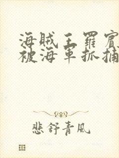 海贼王罗宾娜美被海军抓捕的小说