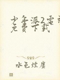 少年派2电视剧免费下载