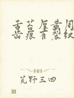 舌苔厚黄周边有齿痕有裂纹