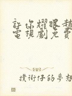 许你耀眼赵露思电视剧免费播放