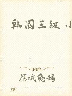 韩国三级 小姐
