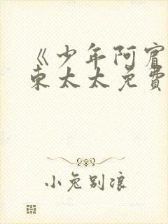 《少年阿宾》房东太太免费看