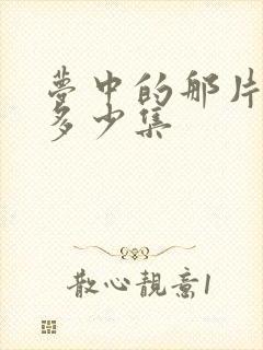 梦中的那片海有多少集