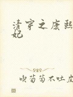 清穿之康熙太子妃