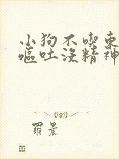 小狗不吃东西还呕吐没精神吃什么药