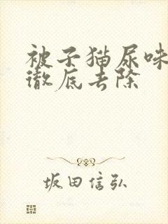 被子猫尿味怎么彻底去除