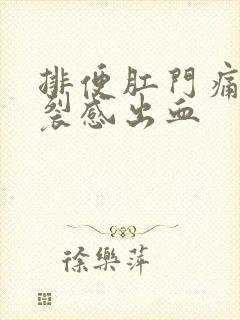 排便肛门痛有撕裂感出血