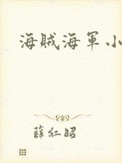 海贼海军小说