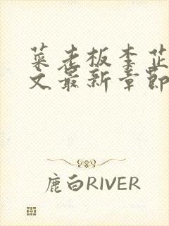 菜老板李芷珊全文最新章节更新内容