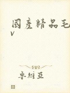 国产精品毛片av