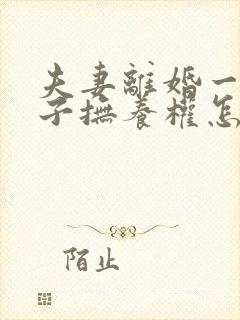 夫妻离婚一个孩子抚养权怎么判定